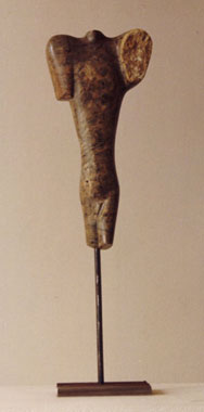Torso Schulter 2